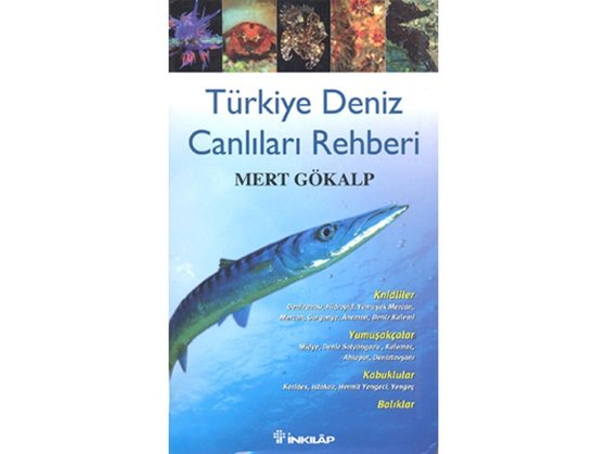 Türkiye Deniz Canlıları Rehberi Görseli