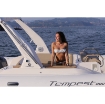 RIB - Top LINE - Tempest 800 Sun - Standart Görseli