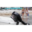 Picture of DF 30 ATHL Outboard Motor - 4 Stroke - Long Shaft