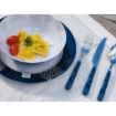 Picture of CUTLERY LIVING, 24 PC