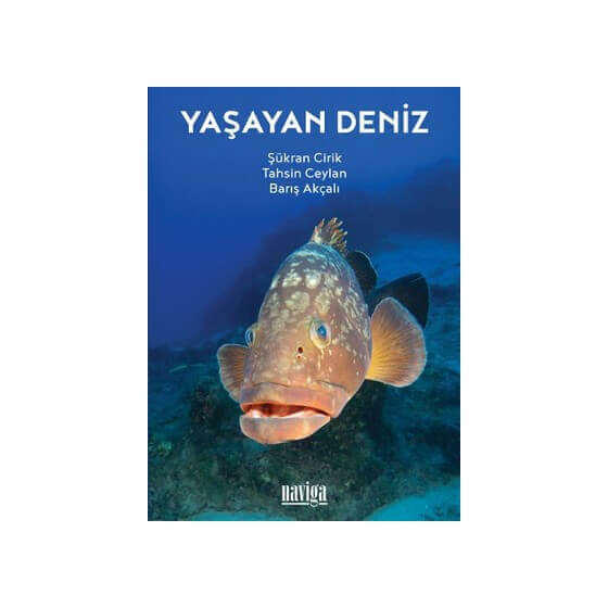 Kitap - Yaşayan Deniz Görseli