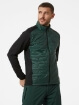 HH LIFA LOFT HYBRID INSULATOR JKT - Erkek - Darkest Spruce Görseli
