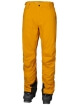 HH LEGENDARY INSULATED PANT - Erkek - Cloudberry Görseli