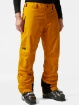 HH LEGENDARY INSULATED PANT - Erkek - Cloudberry Görseli