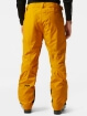 HH LEGENDARY INSULATED PANT - Erkek - Cloudberry Görseli