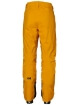 HH LEGENDARY INSULATED PANT - Erkek - Cloudberry Görseli