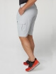 HH HH QD CARGO SHORTS II - Erkek - Grey Fog Görseli