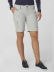 HH W QD CARGO SHORTS - Kadın - Grey Fog Görseli