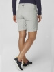 HH W QD CARGO SHORTS - Kadın - Grey Fog Görseli