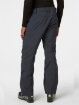 HH LEGENDARY INSULATED PANT - Erkek - Ebony Görseli
