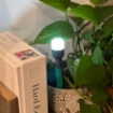 Luci Solar Site Lights - 6'lı Set Görseli