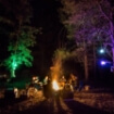 Luci Solar Color Görseli