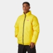 HELLY HANSEN YU 23 REVERSIBLE PUFFER MONT - Erkek - Dark Magenta Görseli