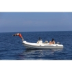RIB - Custom LINE - 570 Sun Görseli