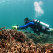 Scooter - Underwater - Manta - Beyaz Görseli