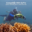 Scooter - Underwater - Manta - Mavi Görseli