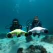 Scooter - Underwater - Manta - Turuncu Görseli