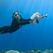 Sea Scooter - Sublue - Mix - Space Blue Görseli